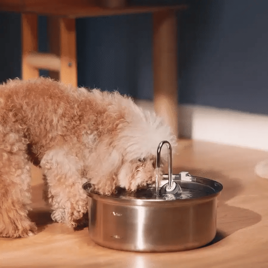 HydraDog™