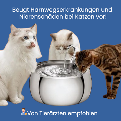 HydraCat™