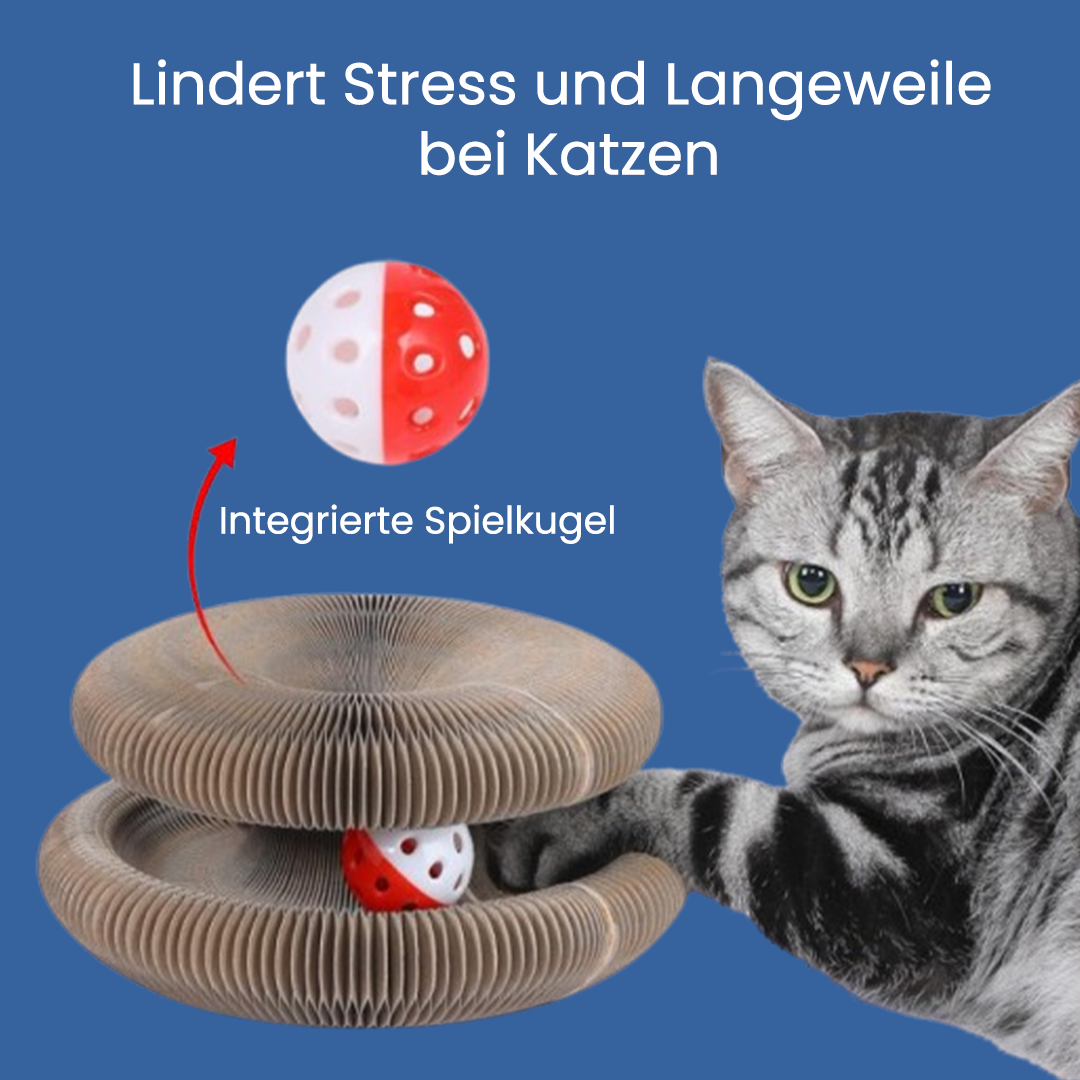 Blog Kratzkokon