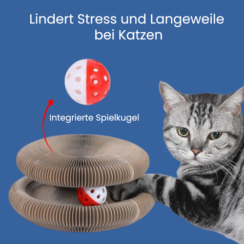 Blog Kratzkokon