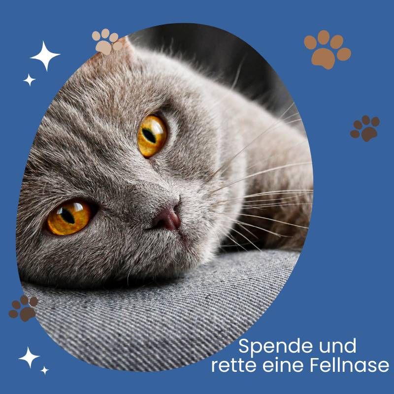 Eine Spende machen