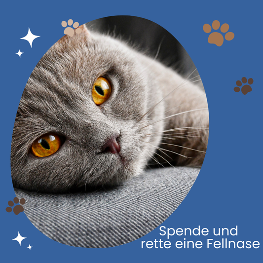 Eine Spende machen