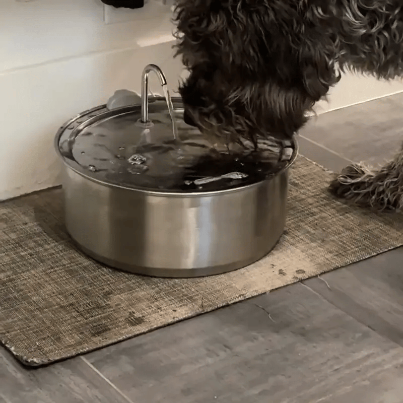 HydraDog™